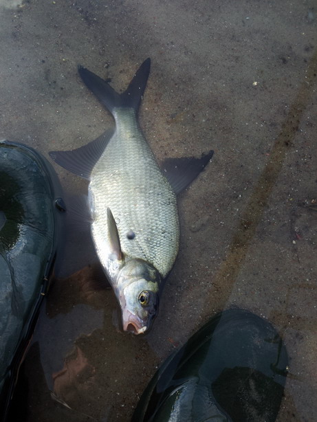 20120714_192023.jpg