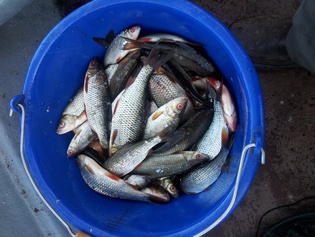 20120718_194009.jpg