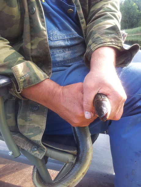20120721_183541.jpg