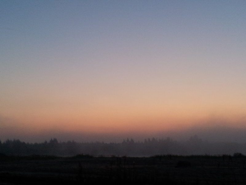 20120728_041628.jpg