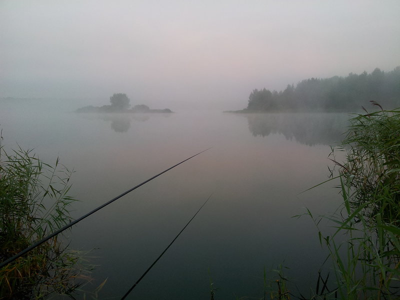 20120728_045139.jpg