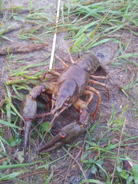 20120728_054215.jpg
