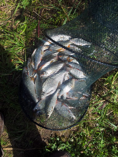 20120728_113712.jpg