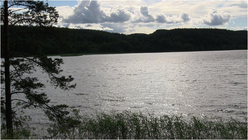 лоти.jpg