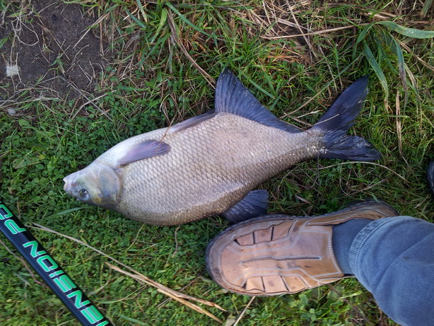 20120801_184539.jpg