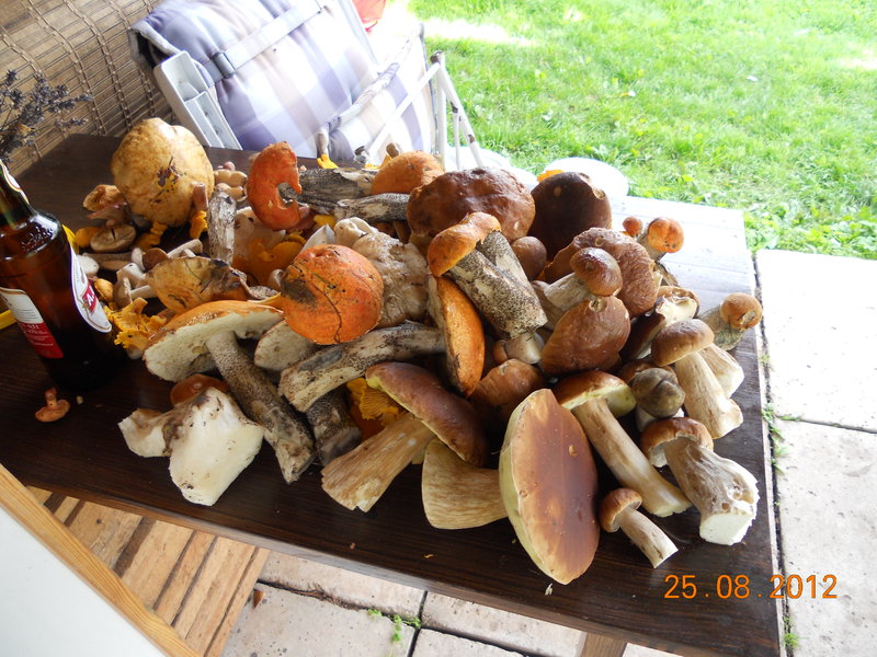 DSCN0185.JPG