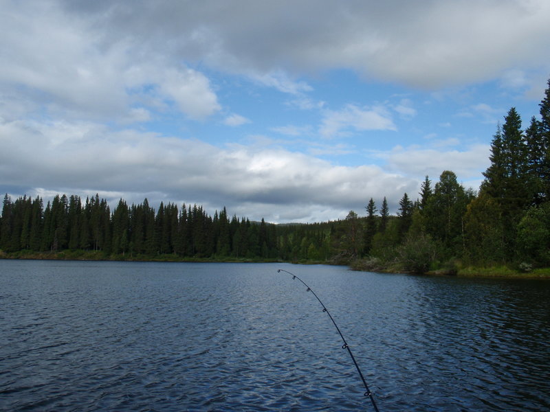 swveden 017.jpg