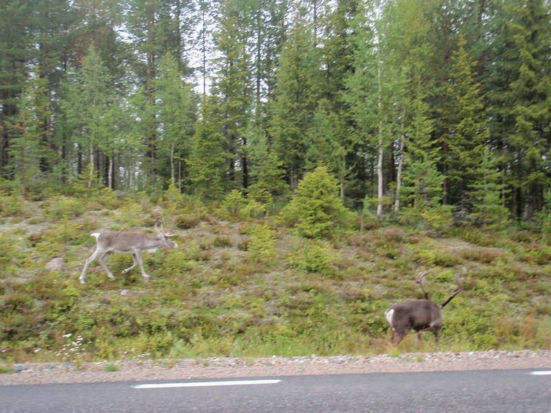 swveden 046.jpg