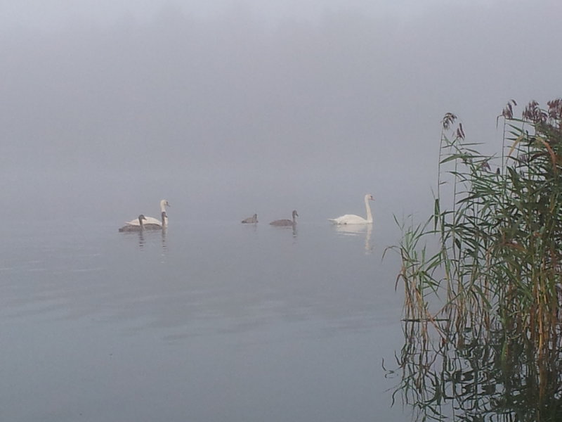 20120826_073347.jpg