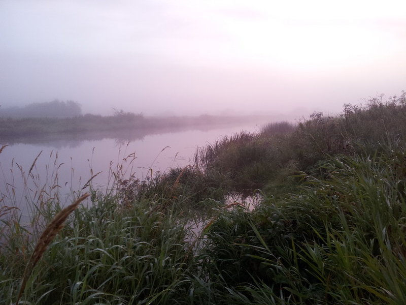 20120825_055212.jpg