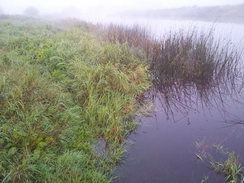 20120825_055227.jpg