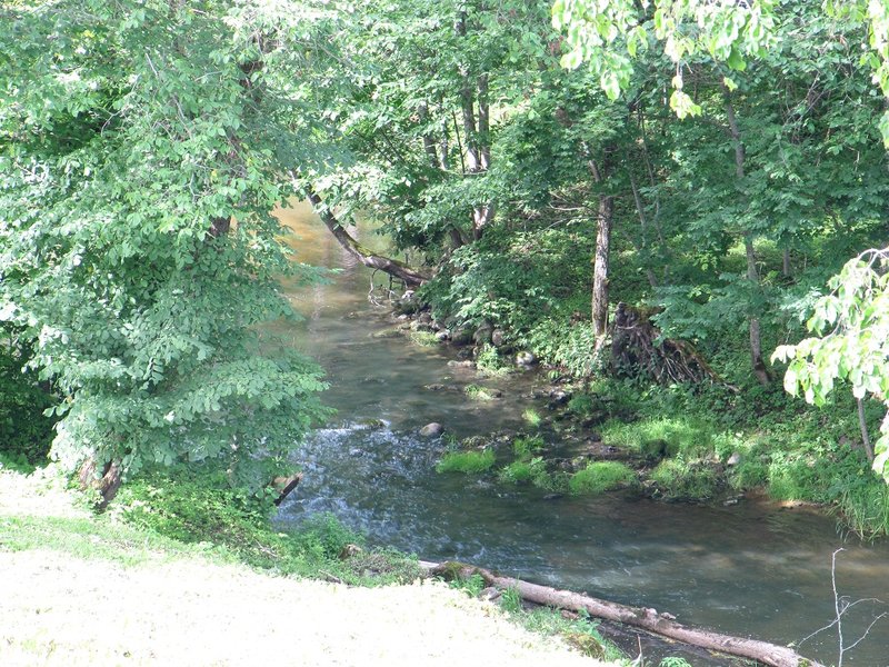 IMG_9096.jpg
