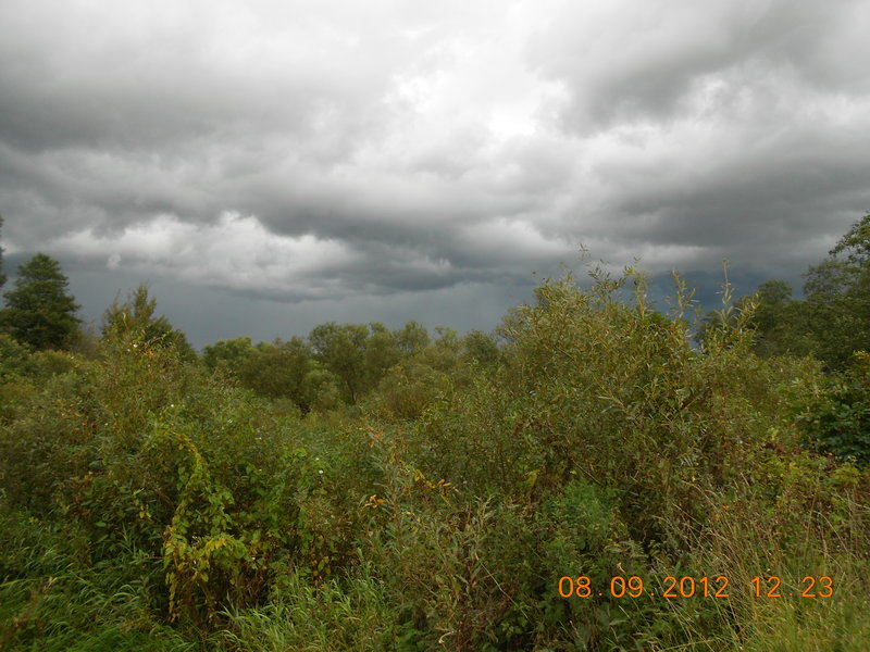 DSCN0578.JPG