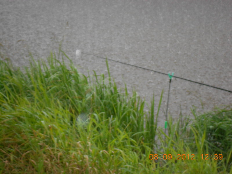 DSCN0583.JPG