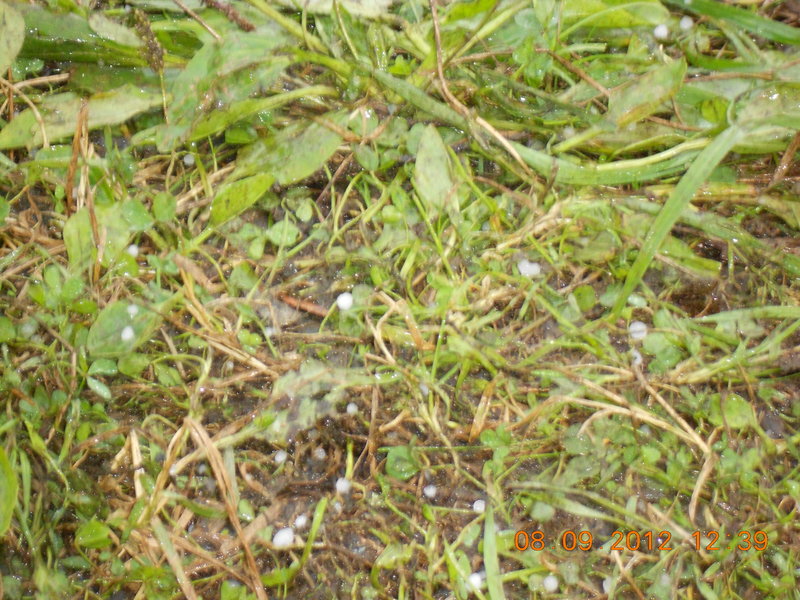 DSCN0584.JPG