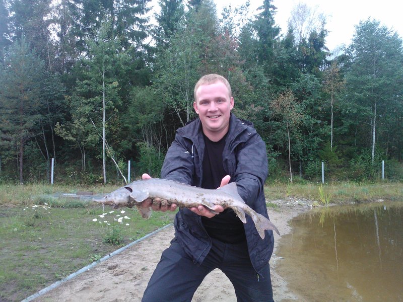 WP_000640.jpg