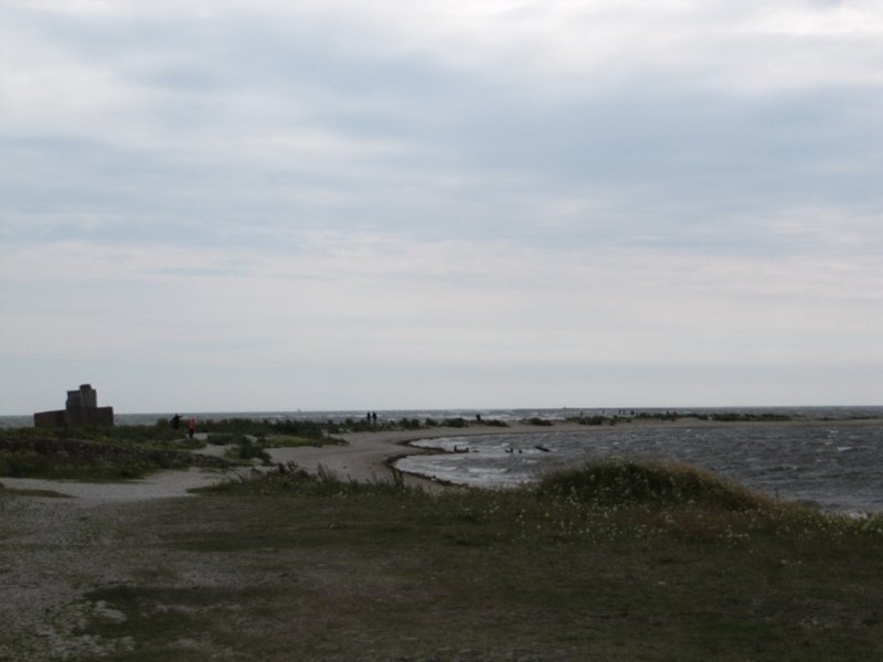 IMG_8921.jpg