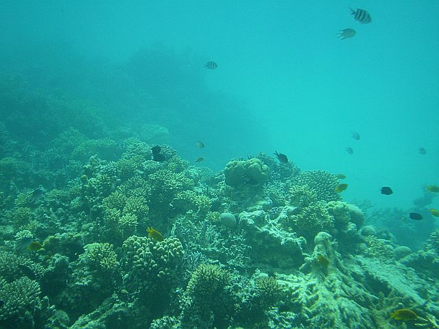 25_04_08_1.jpg