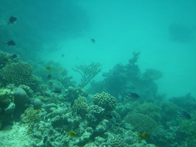 25_04_08_2.jpg