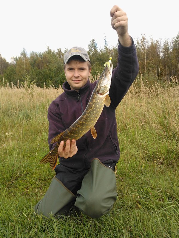 WP_000683.jpg