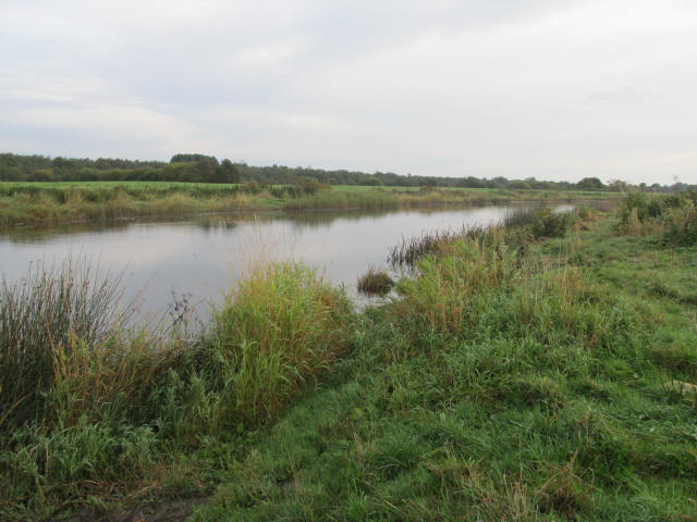 Picture 004.jpg