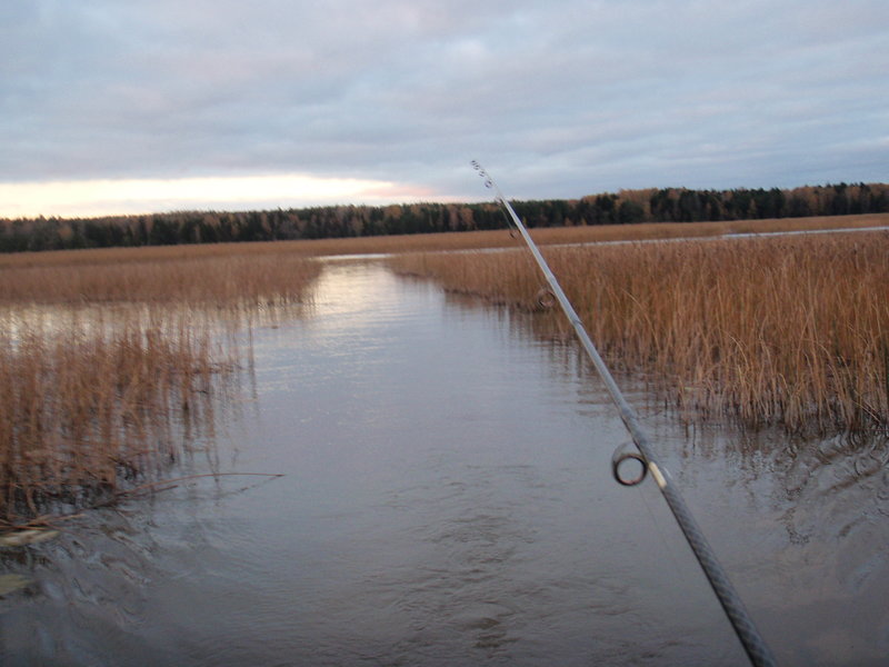 P1021957.JPG