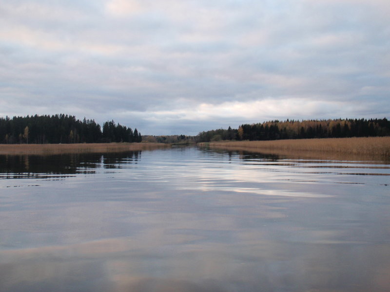 P1021956.JPG