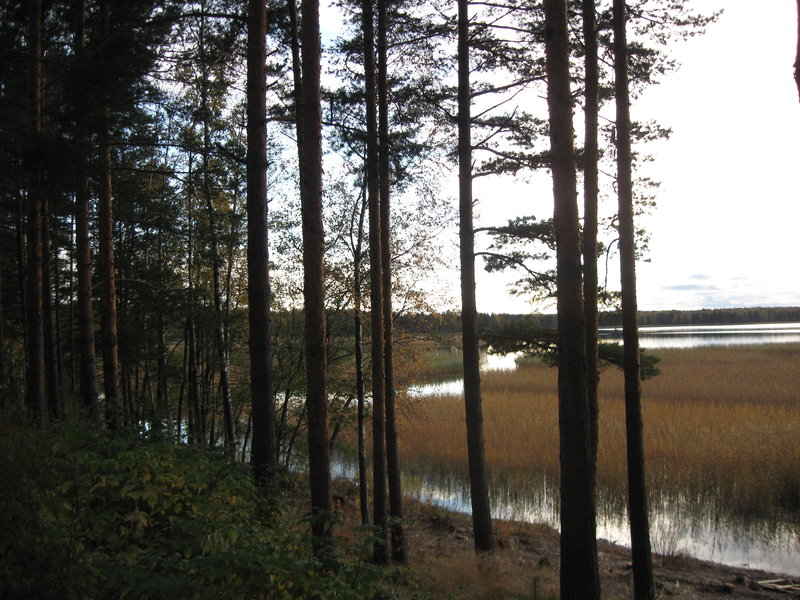 финрыб.октябрь 2012 034.jpg