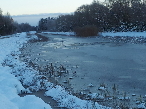 20121028_080038.jpg
