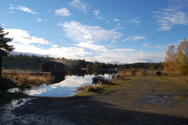 DSC_1514.JPG
