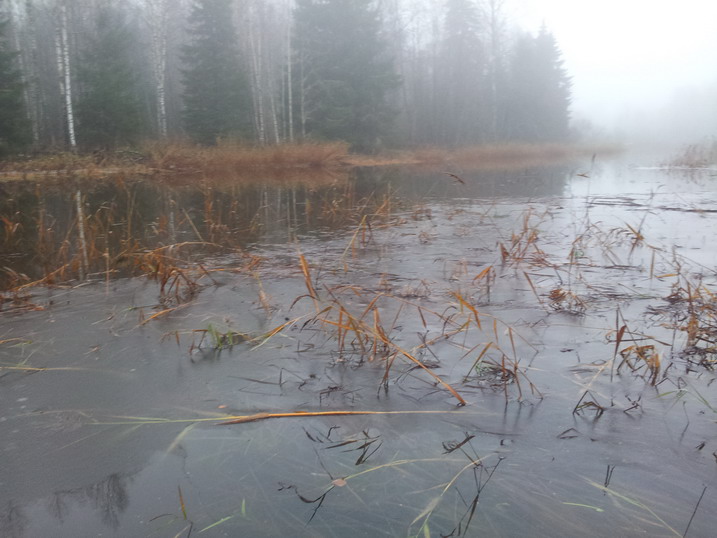 20121103_081436.jpg