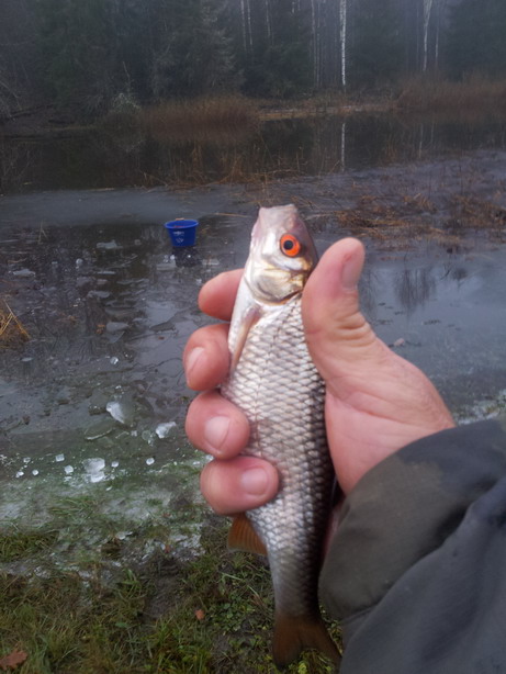 20121103_083428.jpg
