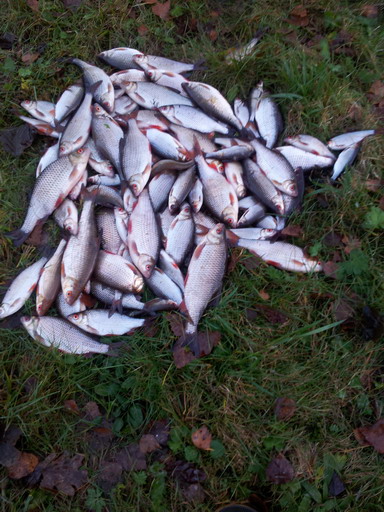 20121103_154721.jpg