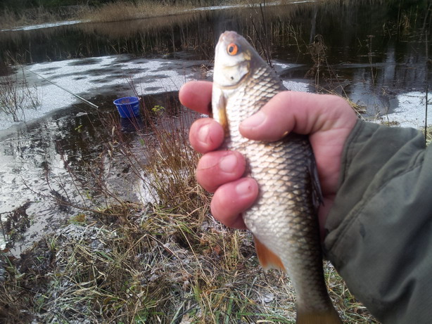 20121110_092132.jpg