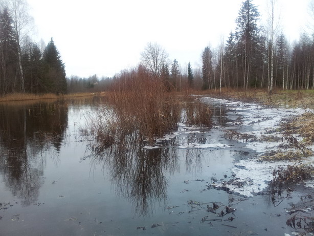 20121110_083133.jpg