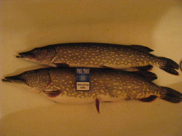 25.11.2012 2.5 + 3.8kg.jpg
