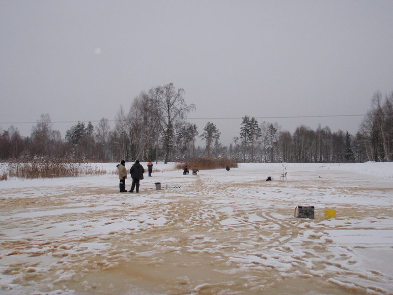 08.12.2012 г.