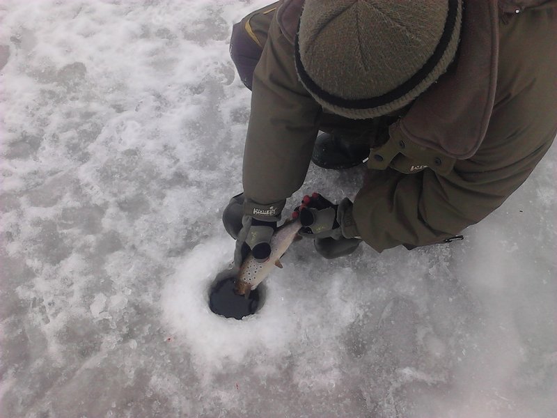 IMG_20121226_125205.jpg