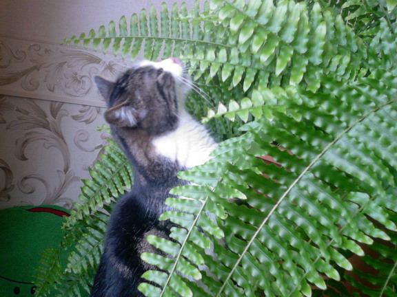 Photo-0013а.jpg