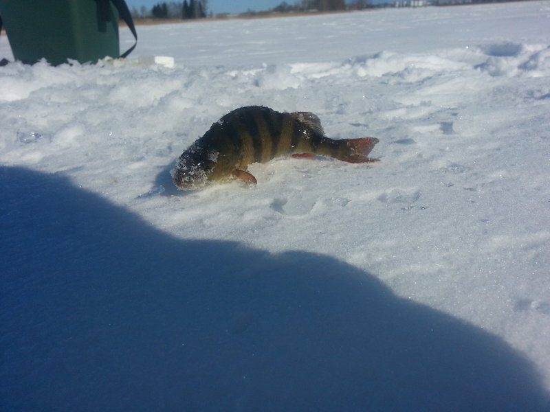 20130315_124341.jpg
