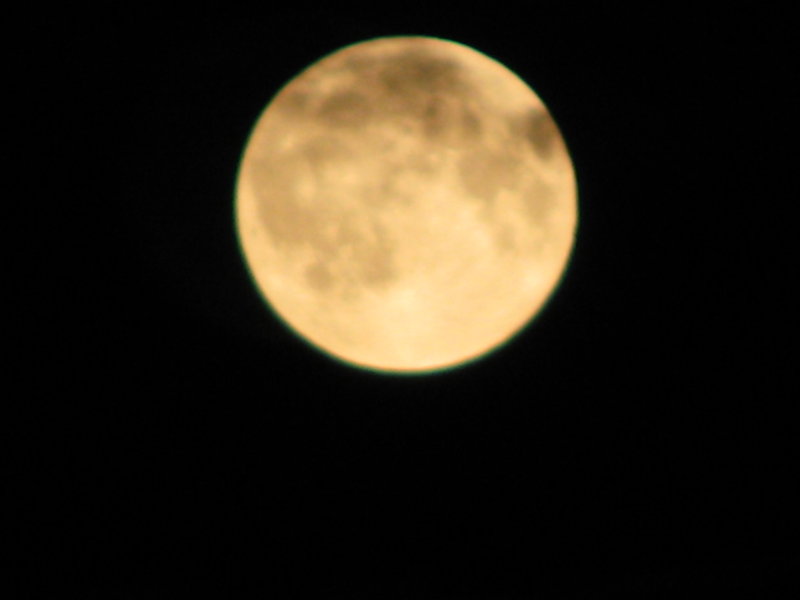 05.08.09 012.jpg