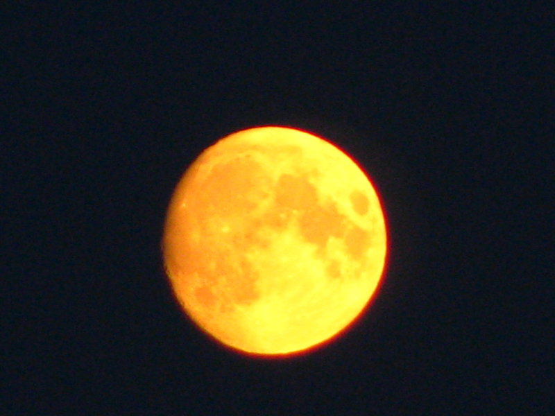 03.08.09 012.jpg