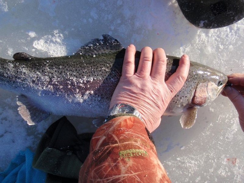 v i forel.j 2pg.jpg