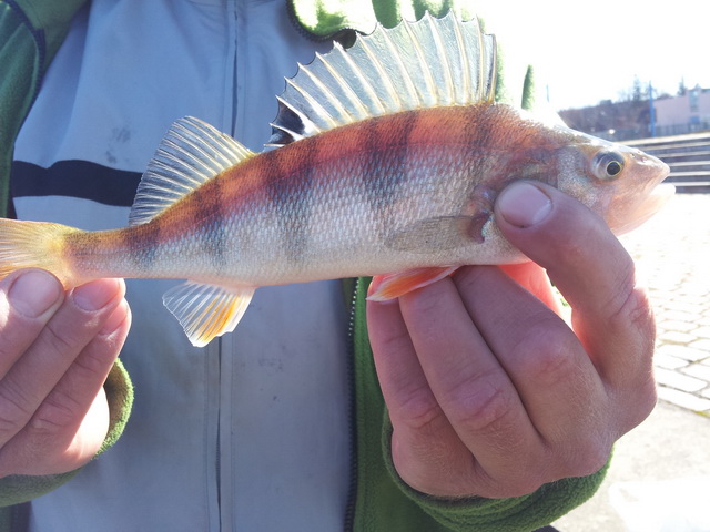 20130421_142153.jpg