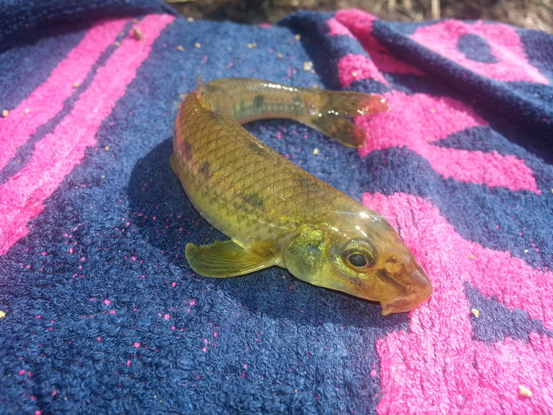 20130425_123429.jpg