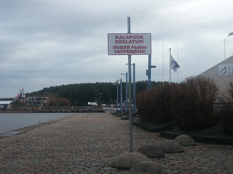 20130425_090412.jpg