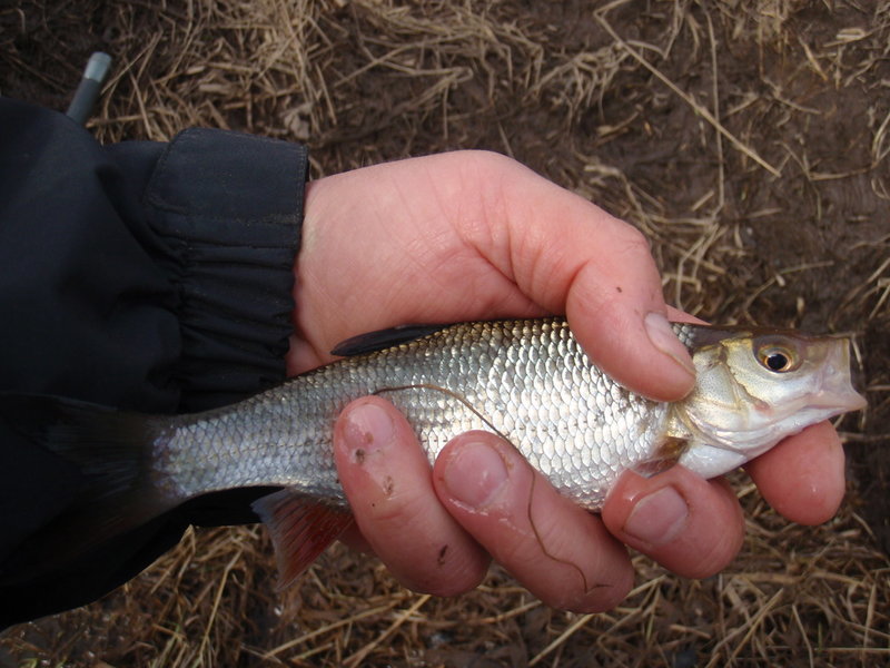 P1015901.JPG