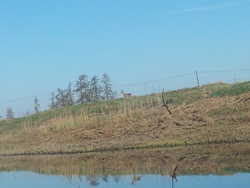 20130508_081525.jpg