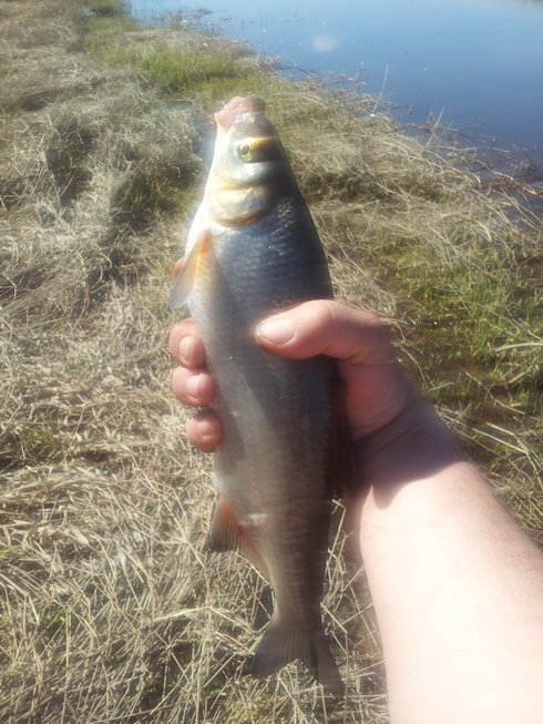 20130508_150425.jpg