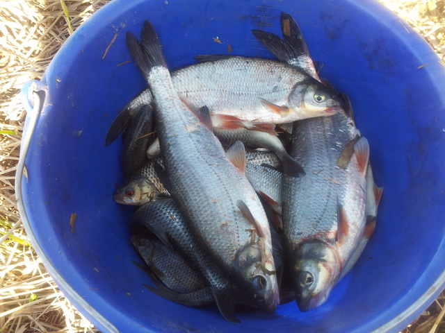 20130508_163719.jpg